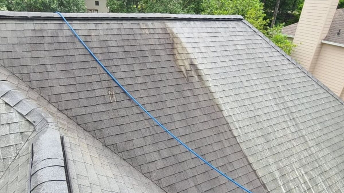 How Professional Power Washing Stops Mold and Mildew Growth