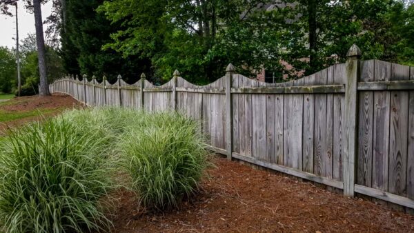 Weathered Wooden Fence With Landscaping